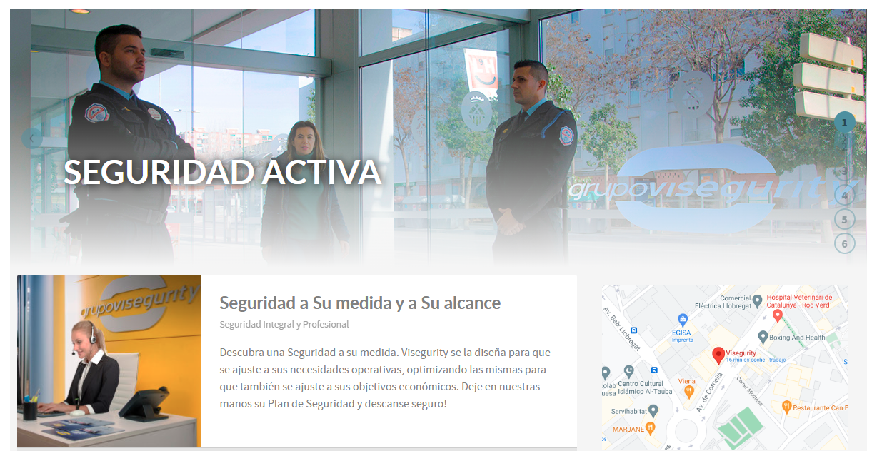 Grupo Visegurity